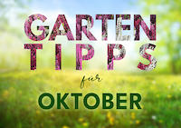 Garten_Tipps_Vorschau_News_Okt